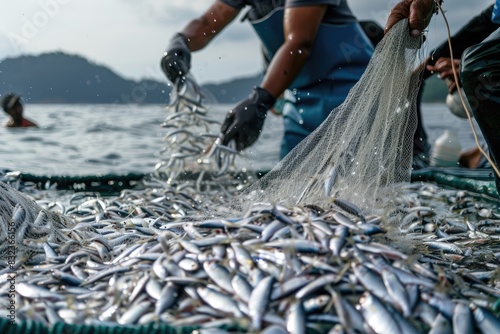 Fishermen with Full Net of Fish