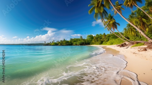 Sunny Tropical Beach With Palm trees, beautiful landscape