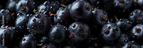 Detailed texture of a black currant, glossy and smooth, deep black color 