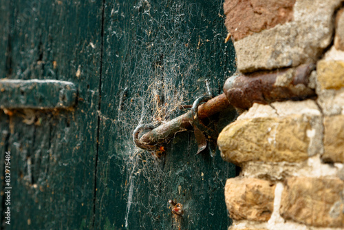 Rusty Metal Hinge on Weathered Wooden Door