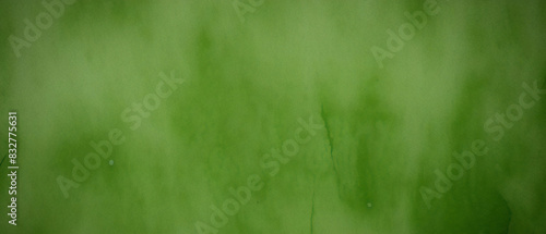 Textura verde grunge para fundo