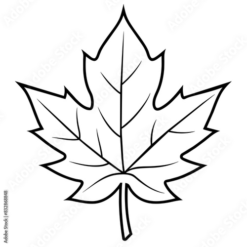 maple leaf silhouette vector art illustration