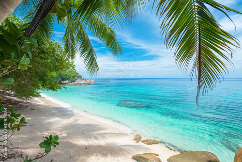 Beauty of a tropical paradise, with palm-fringed beaches, turquoise waters, and vibrant coral reefs.