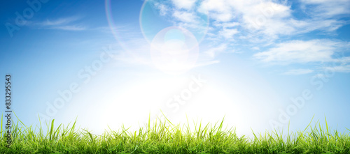 A bright fresh sunny spring, summer blue sky background with white fluffy clouds and lush green grass in the foreground.