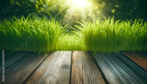 A beautiful natural background featuring old wooden boards as flooring and young green juicy grass in the sunlight