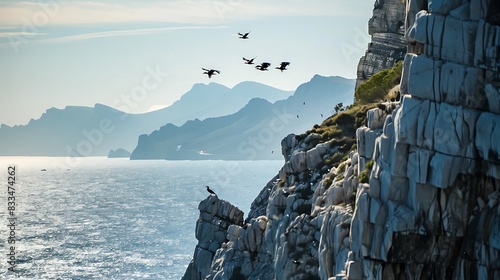 Cormorants flying in formation over rocky cliffs overlooking the ocean and mountains.