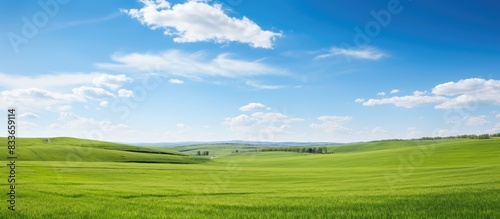 steppe prairie veld veldt Bright sunshine spring in the desert. Creative banner. Copyspace image