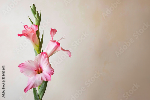 A single pink gladiolus stands tall in a flower arrangement.