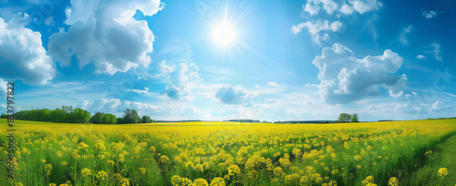 vista panorâmica do campo de colza, céu azul com nuvens, fotografia de paisagem, flores amarelas, árvores verdes ao fundo, bela cena da natureza, grande angular, panorama panorâmico, cores brilhantes