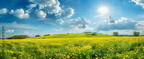 vista panorâmica do campo de colza, céu azul com nuvens, fotografia de paisagem, flores amarelas, árvores verdes ao fundo, bela cena da natureza, grande angular, panorama panorâmico, cores brilhantes