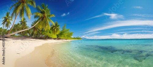 Stunning tropical beach scenery with sandy shores, coconut trees, ideal for tourist vacation concepts, featuring an incredible beach landscape in the wide copy space image.
