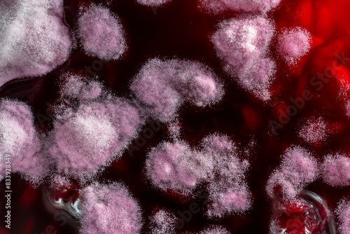 Mold in a glass jar of red raspberry jam, close up, top view. Mold is very dangerous to health