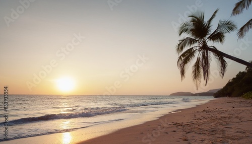 soft sunset on a palm tree tropical sea beach