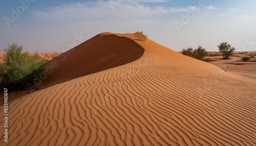 tall sand dune in the rub al khali desert abu dhabi united arab emirates