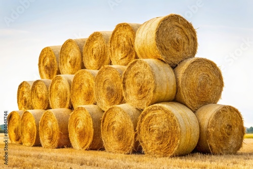 Stacked hay bales in a field on a sunny day. Perfect for concepts of agriculture, farming, harvest, rural life, and countryside scenery.