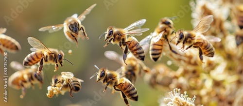 honey bees buzzing and flying around a flowering plant. The bees are in mid-flight, their wings blurred, and they appear to be collecting nectar.