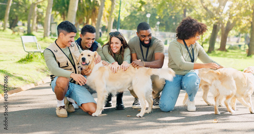 People, volunteer and happy with dogs at park for walk, care and support for community service in new York. Diversity, group and smile for animal welfare or charity with fun or help as shelter worker