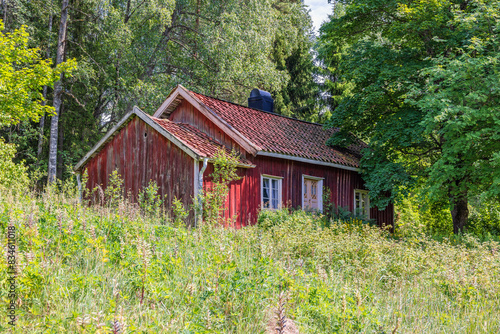 Old abandoned red croft in a forest glade