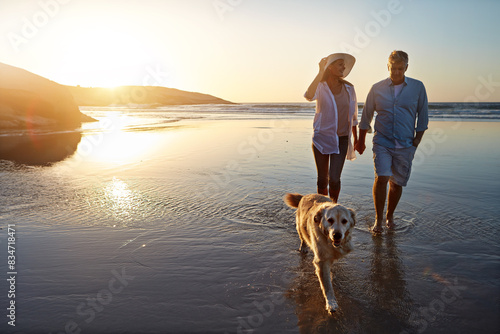 Happy, couple and beach with dog at sunset for outdoor travel, summer holiday and vacation together. Man, woman and holding hands with furry pet by ocean for trust, love and adventure in Sweden