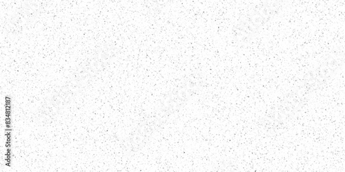 Black and gray terrazzo old floor seamless patterns abstract for background White Sand Wall Texture Background. Grainy white background with gray shiny spots.