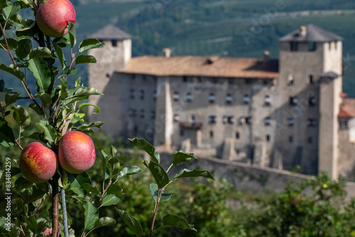 Apple Orchards at the Castello di Cles in Italy at the Lago di Santa Giustina in Trento Province