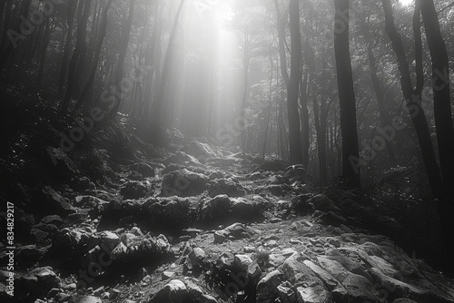 Ethereal black and white image of a misty forest with sunbeams and a rocky path leading through