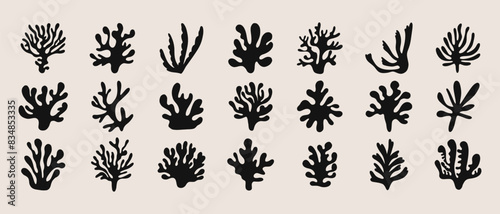 Abstract coral shapes. Floral organic elements for print design, ontemporary botanical cutout silhouettes. Trendy minimal vector set