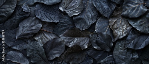 Abstract black leaves texture for tropical backgrounds.