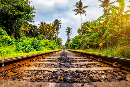 Old railway tracks going through the dense green jungle on Sri Lanka