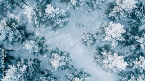 The image shows a frozen forest from a bird's eye view. The trees are covered in snow and the ground is a blanket of white. It is a beautiful and serene scene.