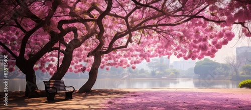 A stunning pink tabebuia tree blossoming fully in the park, providing a picturesque copy space image.