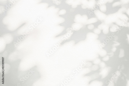 Leaf shadow and light on wall background. Nature tropical leaves tree branch and plant shade with sunlight from sunshine dappled on white wall texture for background wallpaper, shadow overlay effect