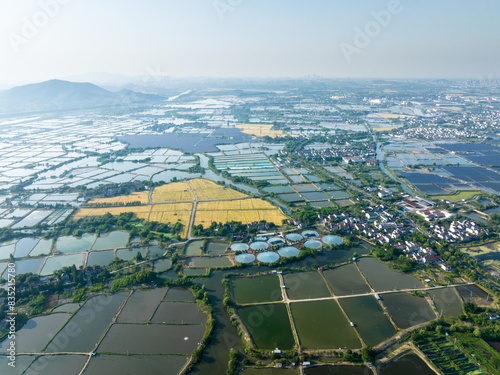 view of country field and granary