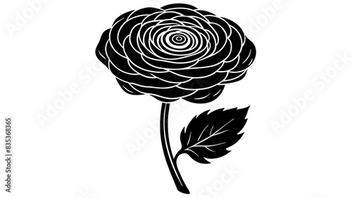 ranunculus flower silhouette vector illustration