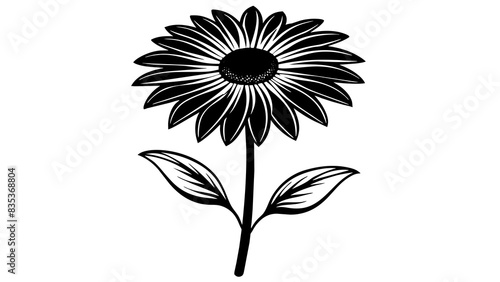 rudbeckia flower silhouette vector illustration