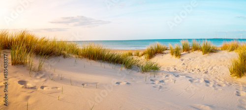 Beautiful dutch coastline at Texel island, Netherlands, in spring at sunset 