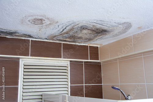 Molds in the bathroom caused by dirty water leaking from the upper floor