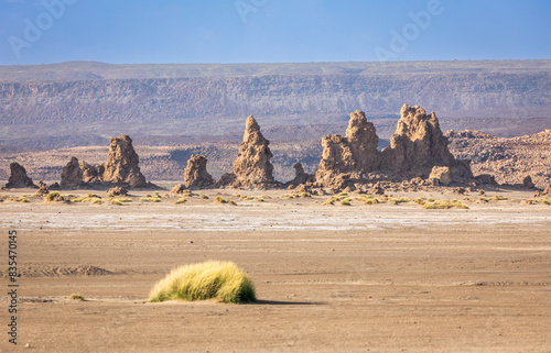 Limestone prehistoric chimneys geological rock formations, salt lake Abbe, Dikhil region, Djibouti