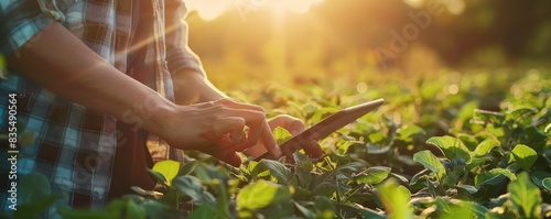 Farmer using a digital tablet to check the health of crop field during golden hour sunlight.