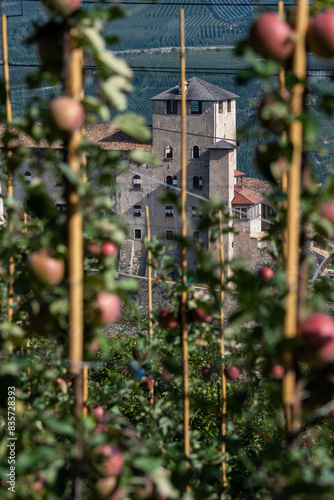 Apple Orchards at the Castello di Cles in Italy at the Lago di Santa Giustina in Trento Province