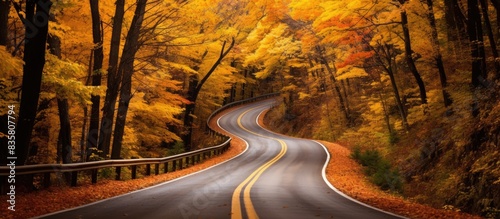 Autumn scenery in Door County, Wisconsin, featuring a meandering road with colorful foliage, perfect for a copy space image.