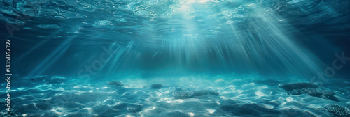 Underwater view of the ocean floor, light rays shining through water surface, creating an ethereal and tranquil atmosphere.