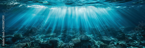 Underwater view of the ocean floor, light rays shining through water surface, creating an ethereal and tranquil atmosphere.