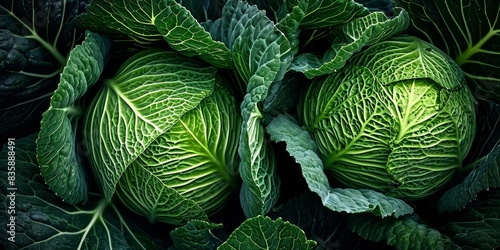 In the lush garden, the leaves of the cabbage plant showcased their vibrant green hue, creating a stunning texture of autumn colors, and promising a bountiful harvest of vegetables, Generative AI