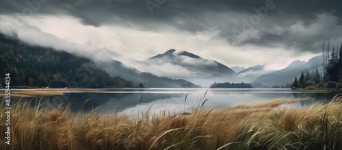 Looking across river at broke grass and green forested mountainside under cloudy skies. Creative banner. Copyspace image