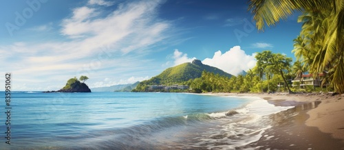 Exotic vacations in Martinique between sea and ocean. Creative banner. Copyspace image