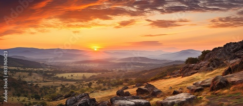 beautiful sunrise on the wild landscape. Creative banner. Copyspace image