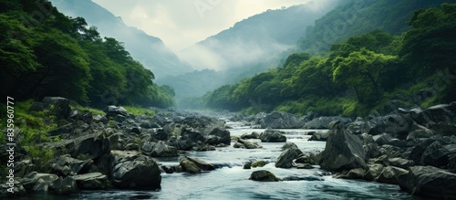 small river scene among rocky valley. Creative banner. Copyspace image