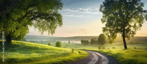 Tranquil rural summer landscape with green trees and a dirt road at sunrise. Charming scenery featuring blooming trees and plants in the sunny spring morning with copy space image.