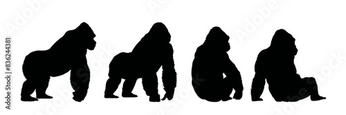 set of gorilla silhouette - vector illustration